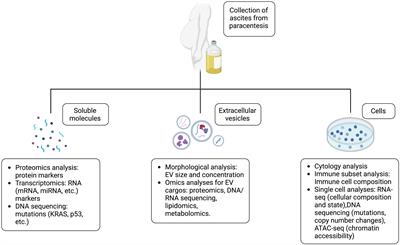 Malignant ascites in pancreatic cancer: Pathophysiology, diagnosis, molecular characterization, and therapeutic strategies